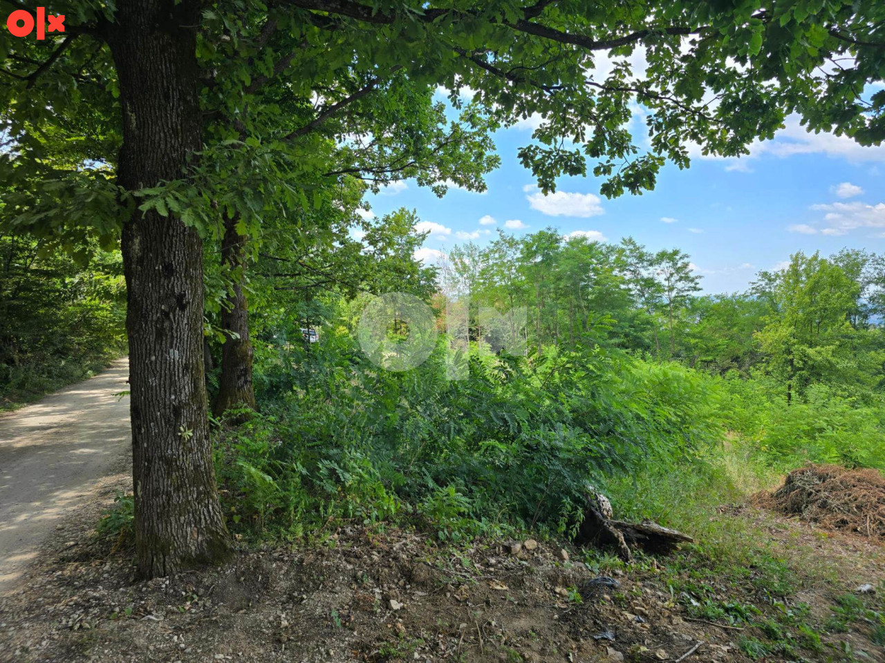 Plac od 1000m2 sa pogledom - KRČMARICE 7