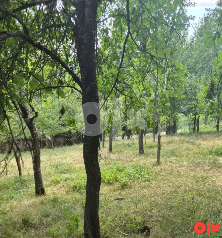 Zemljište Krupa na Vrbasu - Krmine 5