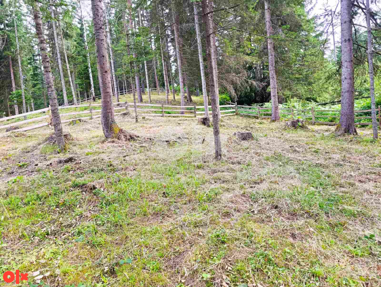 Prodaja zemljišta Nišići ATRAKTIVNA LOKACIJA 12