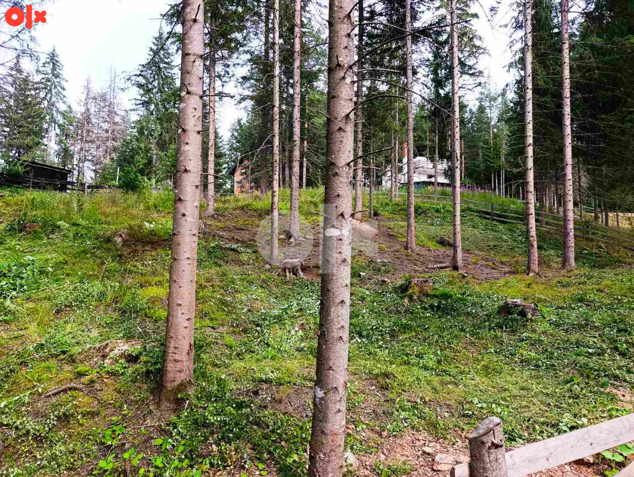 Prodaja zemljišta Nišići ATRAKTIVNA LOKACIJA 15