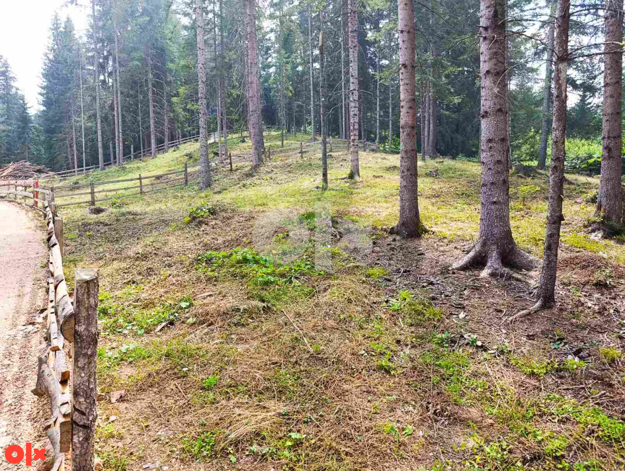Prodaja zemljišta Nišići ATRAKTIVNA LOKACIJA 19