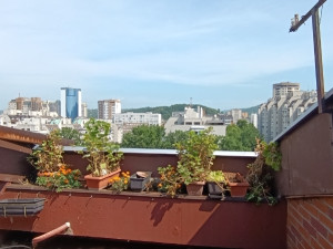 Stanovi i apartmani Tuzla photo 5