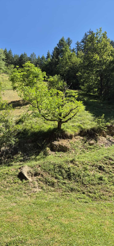 Sigenx prodaje zemljište/kuću/Srednje/Moševići 6