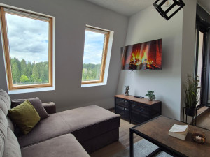 Apartman Ravna planina, Pale photo 5