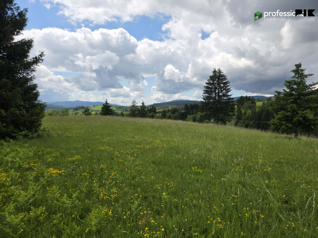 Zemljište Nišići Ilijaš Sarajevo 24368 m2 7