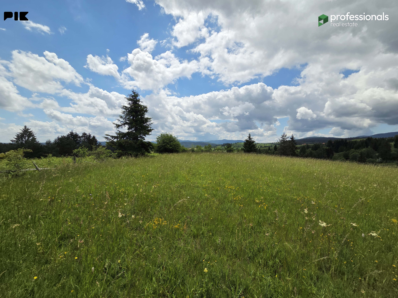 Zemljište Nišići Ilijaš Sarajevo 24368 m2 8