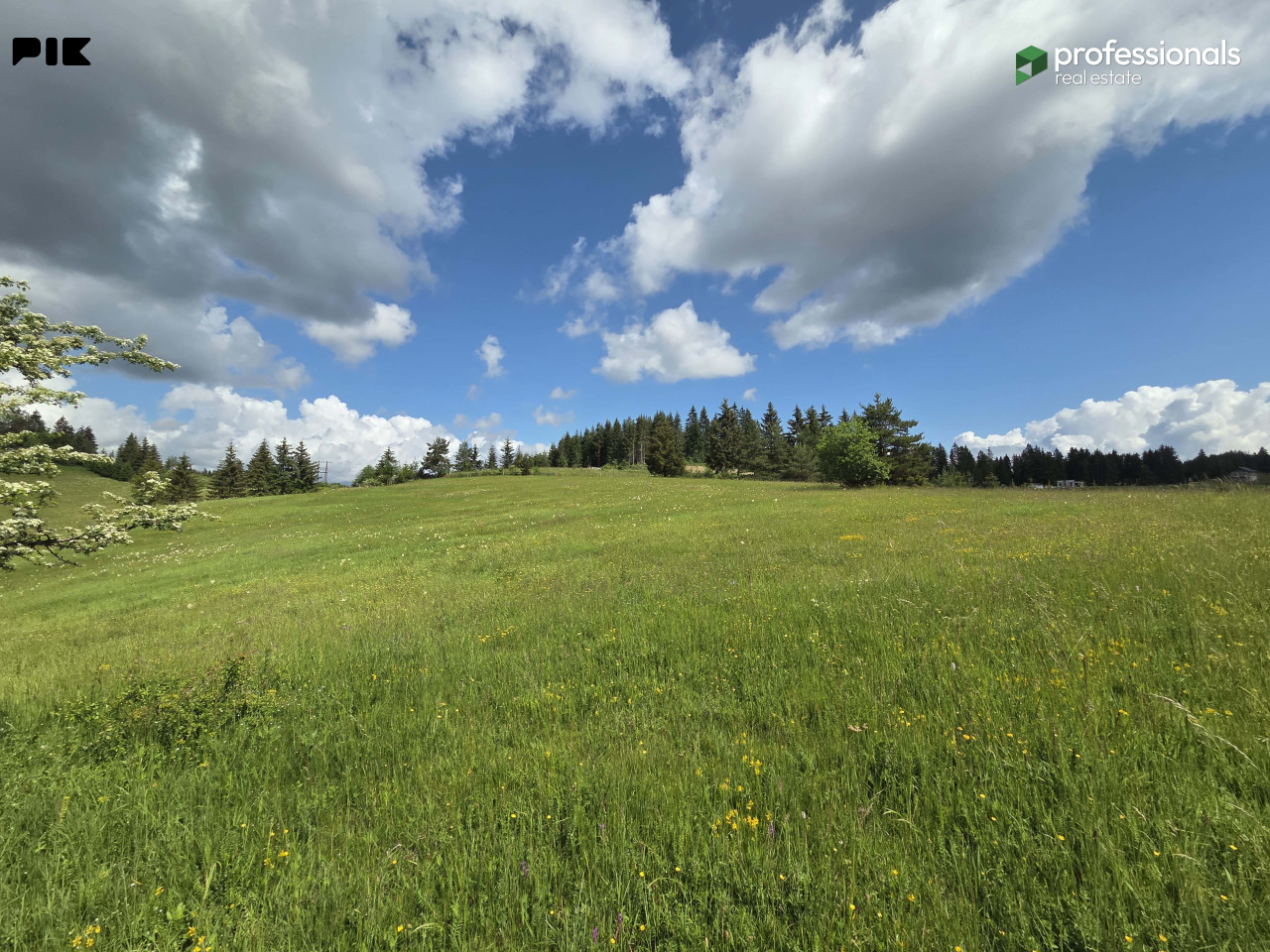 Zemljište Nišići Ilijaš Sarajevo 24368 m2 10