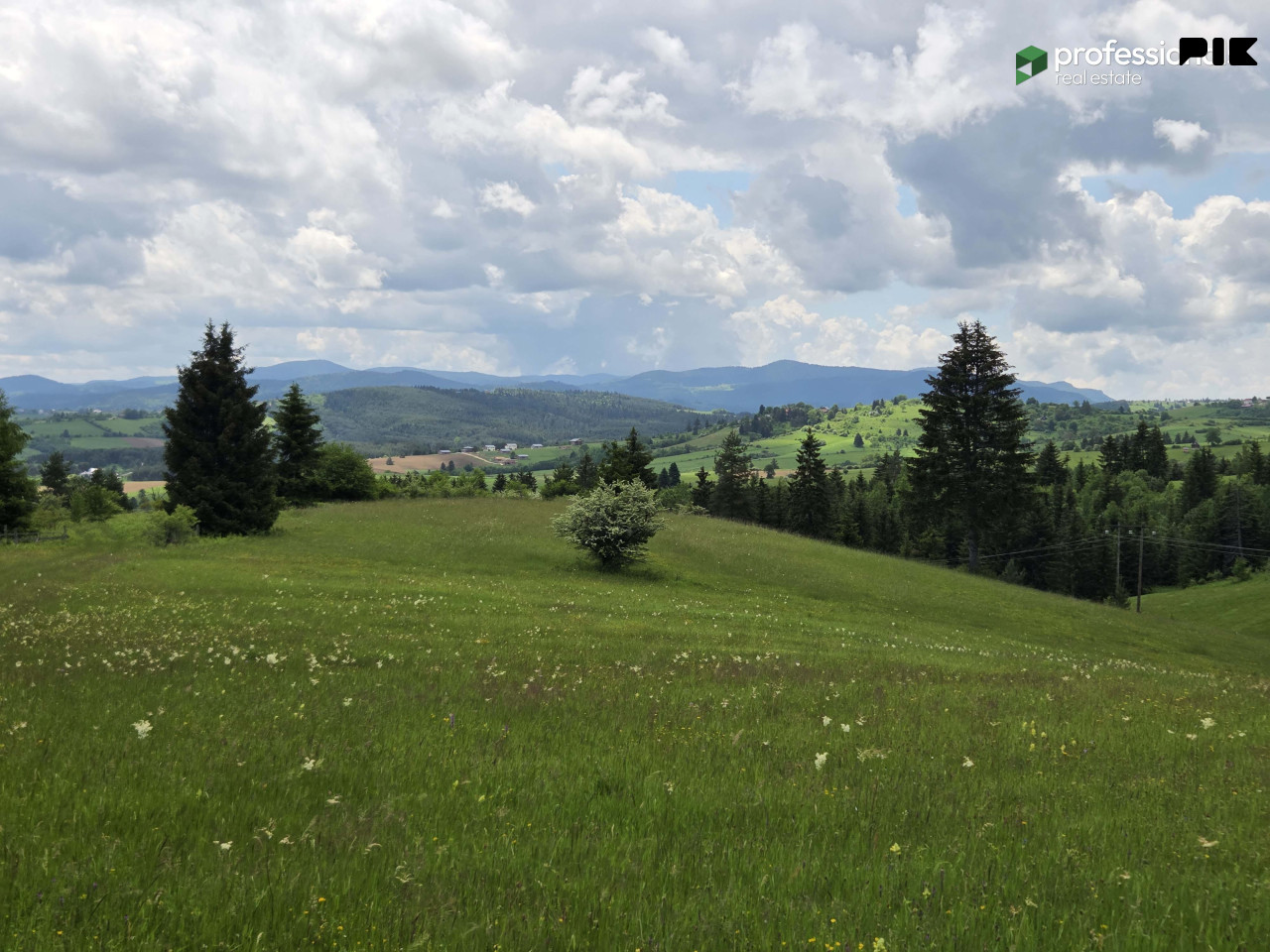 Zemljište Nišići Ilijaš Sarajevo 24368 m2 12
