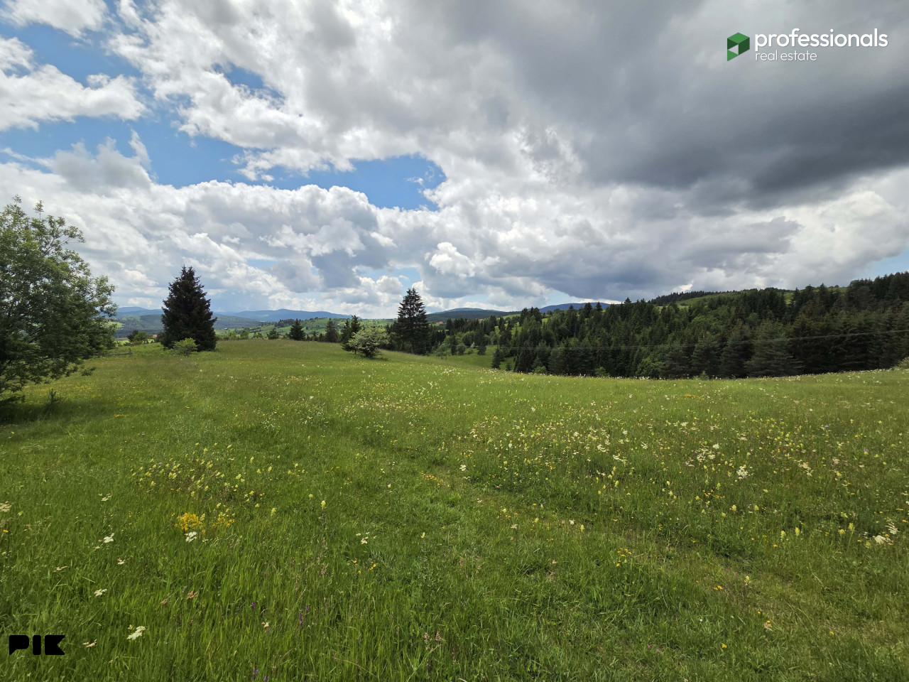 Zemljište Nišići Ilijaš Sarajevo 24368 m2 13