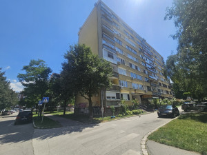 Jednosoban stan / Porodice Ribar / Hrasno
