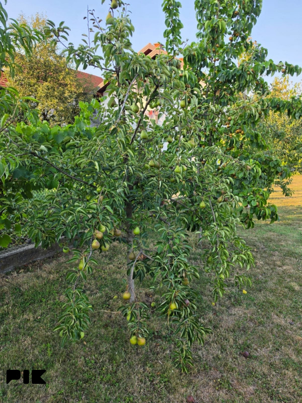 Plac zemljište Srebrenik Babunovici 15