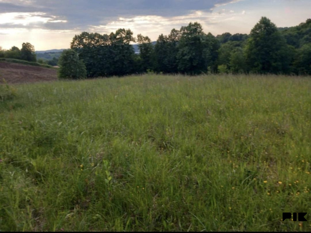 Zemljište i šuma u Trepču,Tešanj