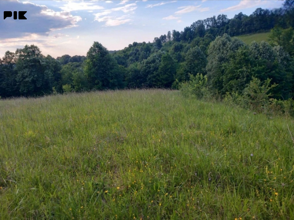 Zemljište i šuma u Trepču,Tešanj 3
