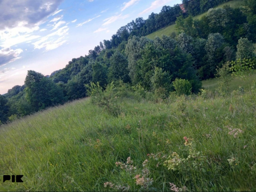 Zemljište i šuma u Trepču,Tešanj 7