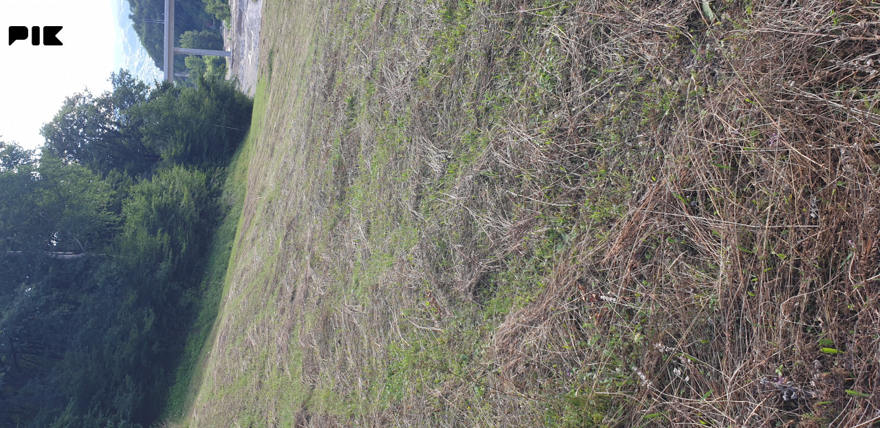 Zemljište Zenica 7120m2 6