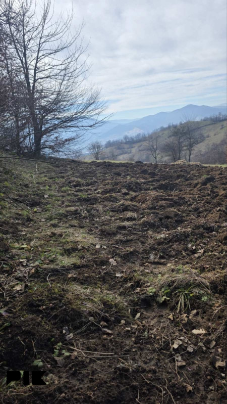 Zemljiste Vitez Ljubic MZ Preocica - Više