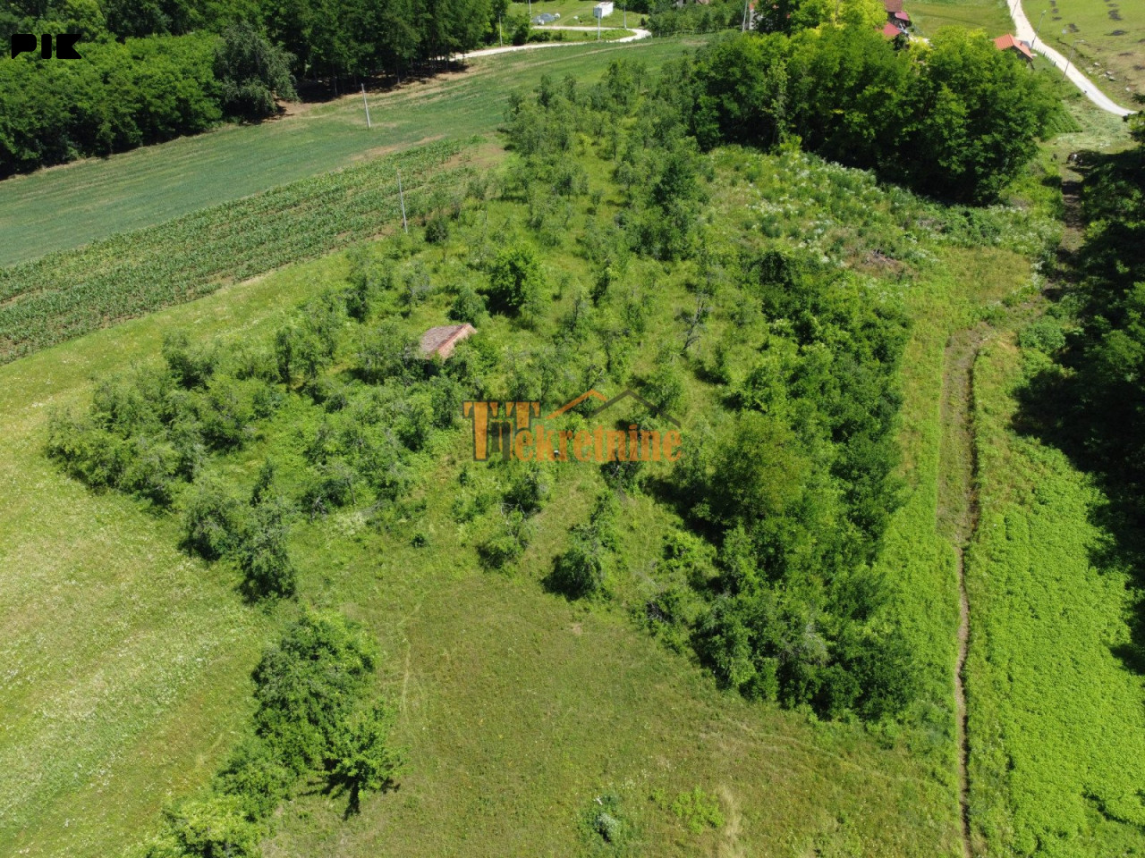 Prodaju se četiri placa po 1000m2 - Šargovac 4