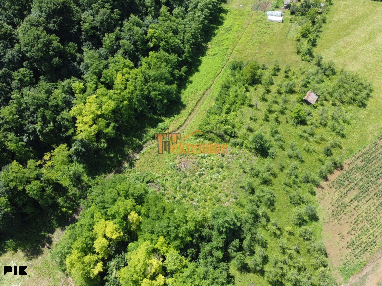 Prodaju se četiri placa po 1000m2 - Šargovac 6