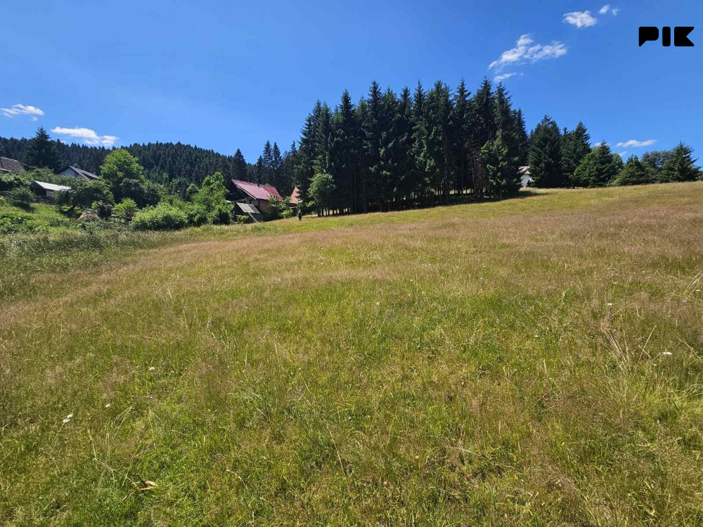Zemljište Pale 4631m2 2