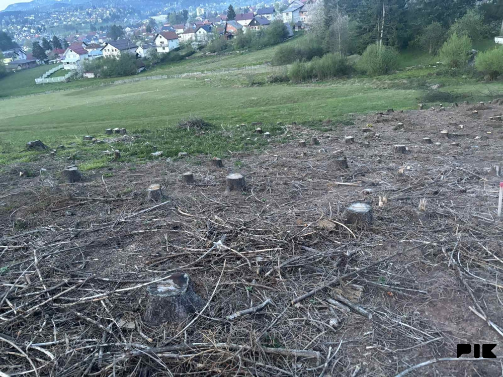 Zemljište Pale 4631m2 3