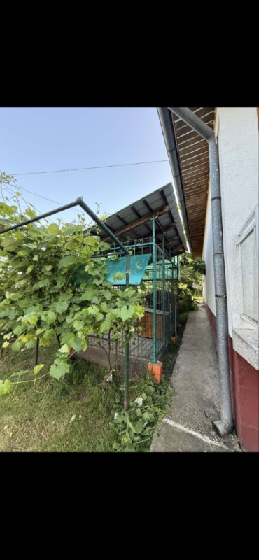 Porodična kuća Dragočaj - PRODAJA 15