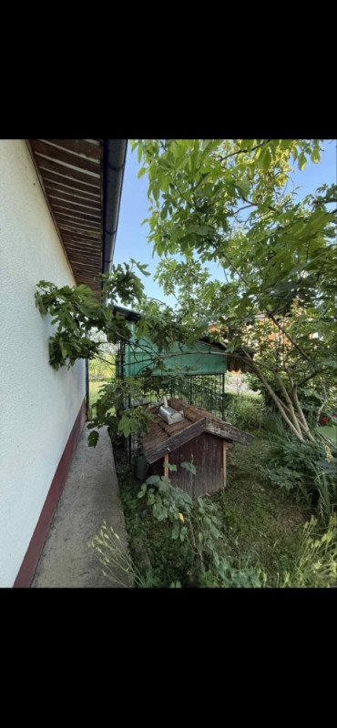 Porodična kuća Dragočaj - PRODAJA 8