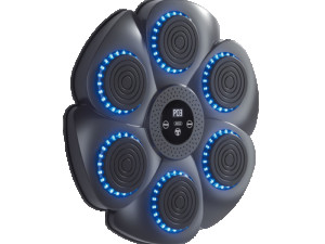 XO SF-02 Musical Boxing Target RGB