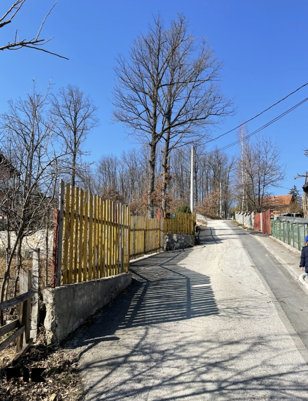 Bojnik - Novi Grad 6