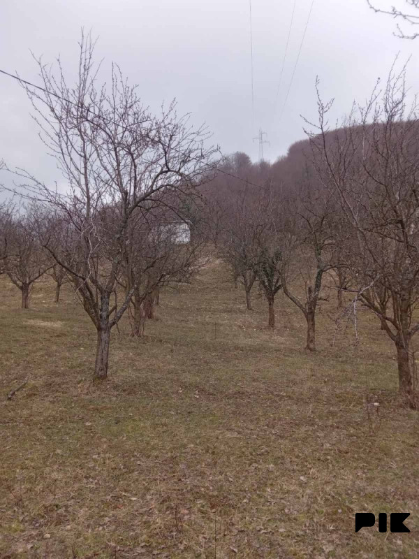 Zemljište Srebrenik 3