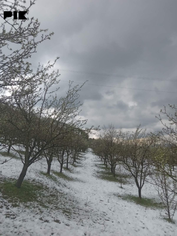Zemljište Srebrenik