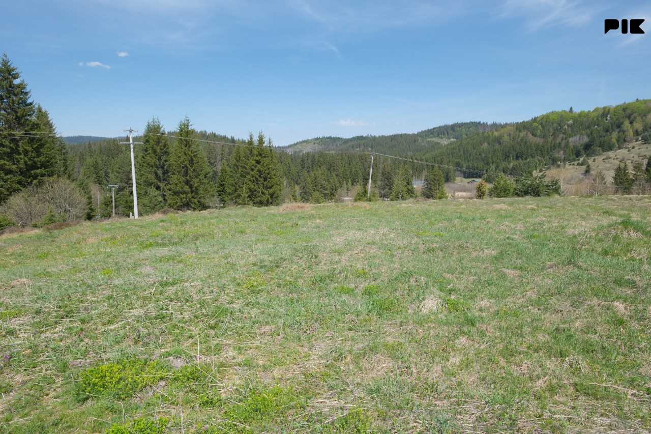 Zemljište / Nisici / Bijambare/ 54464 m2 / JEDINSTVENA PARCELA / 12