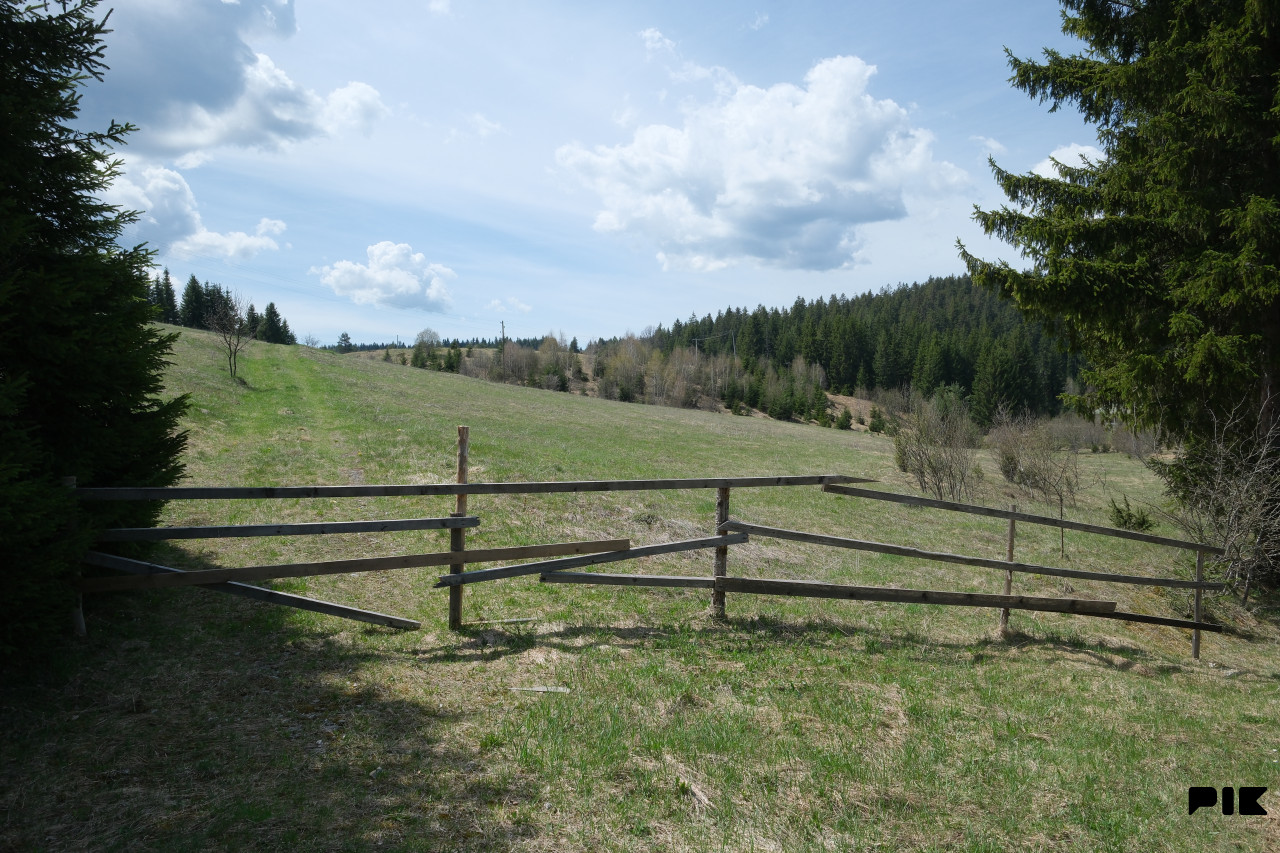 Zemljište / Nisici / Bijambare/ 54464 m2 / JEDINSTVENA PARCELA / 16