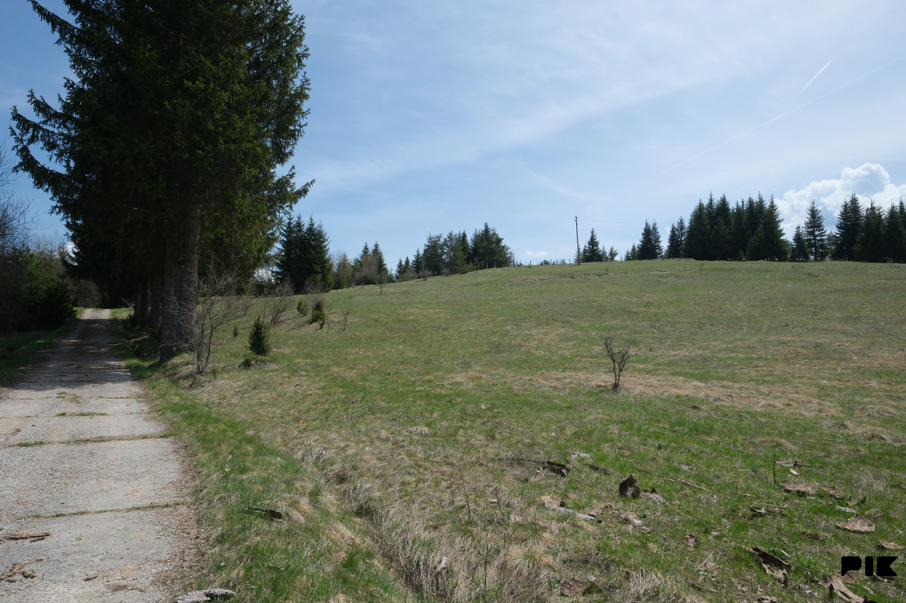 Zemljište / Nisici / Bijambare/ 54464 m2 / JEDINSTVENA PARCELA / 17