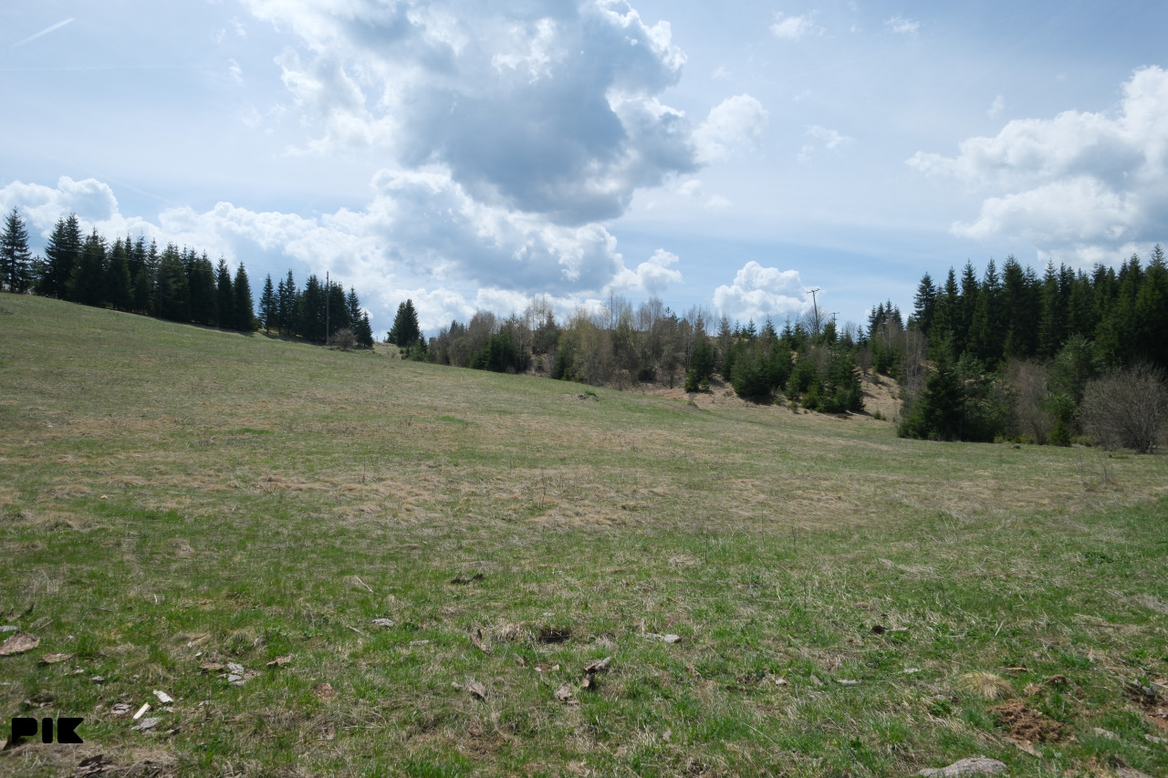 Zemljište / Nisici / Bijambare/ 54464 m2 / JEDINSTVENA PARCELA / 18