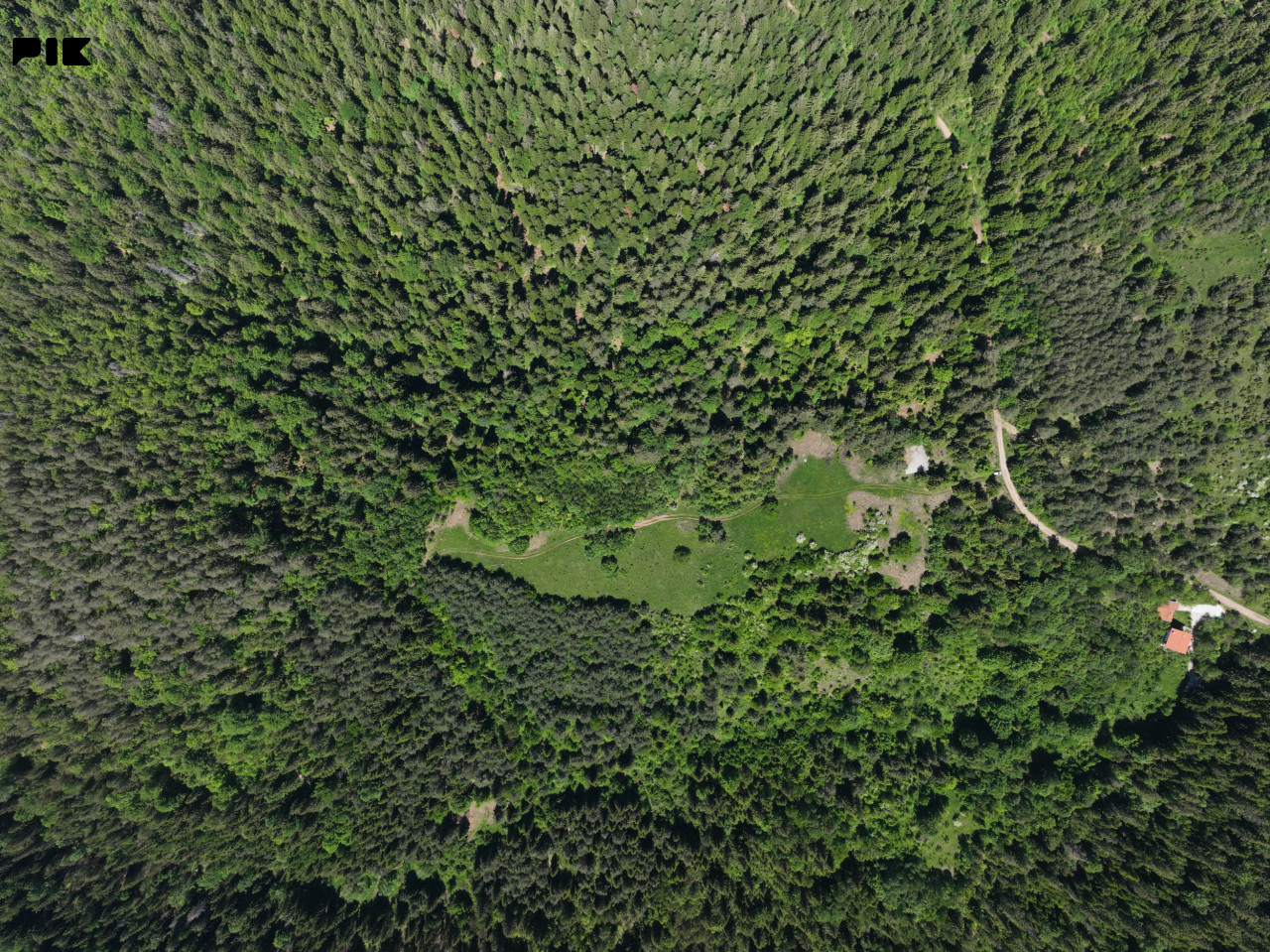 Zemljište / NISICI / 46652 m2 / Imanje / OAZA U SRED SUME / 2