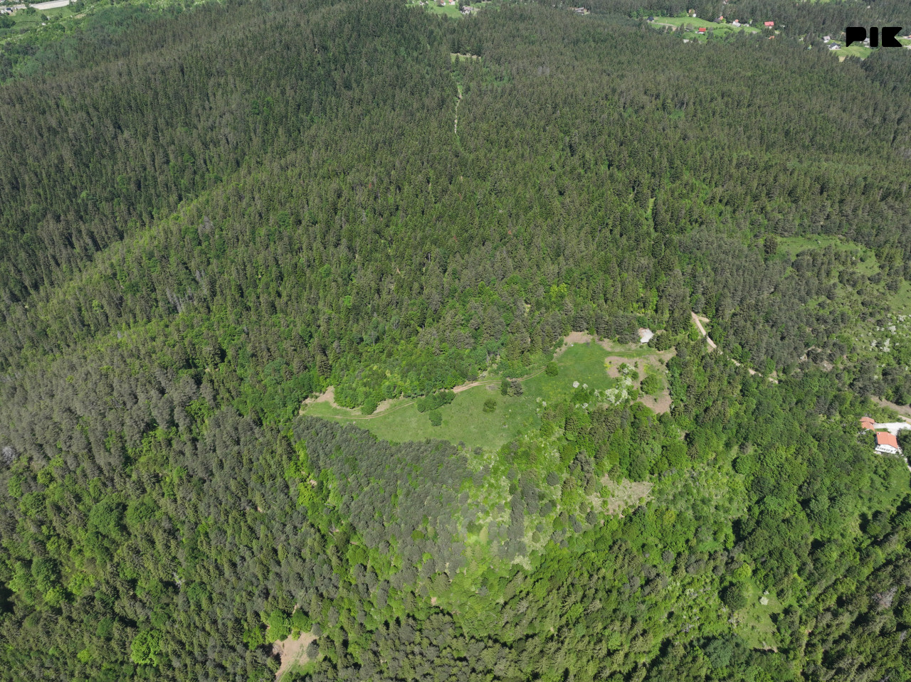Zemljište / NISICI / 46652 m2 / Imanje / OAZA U SRED SUME / 3