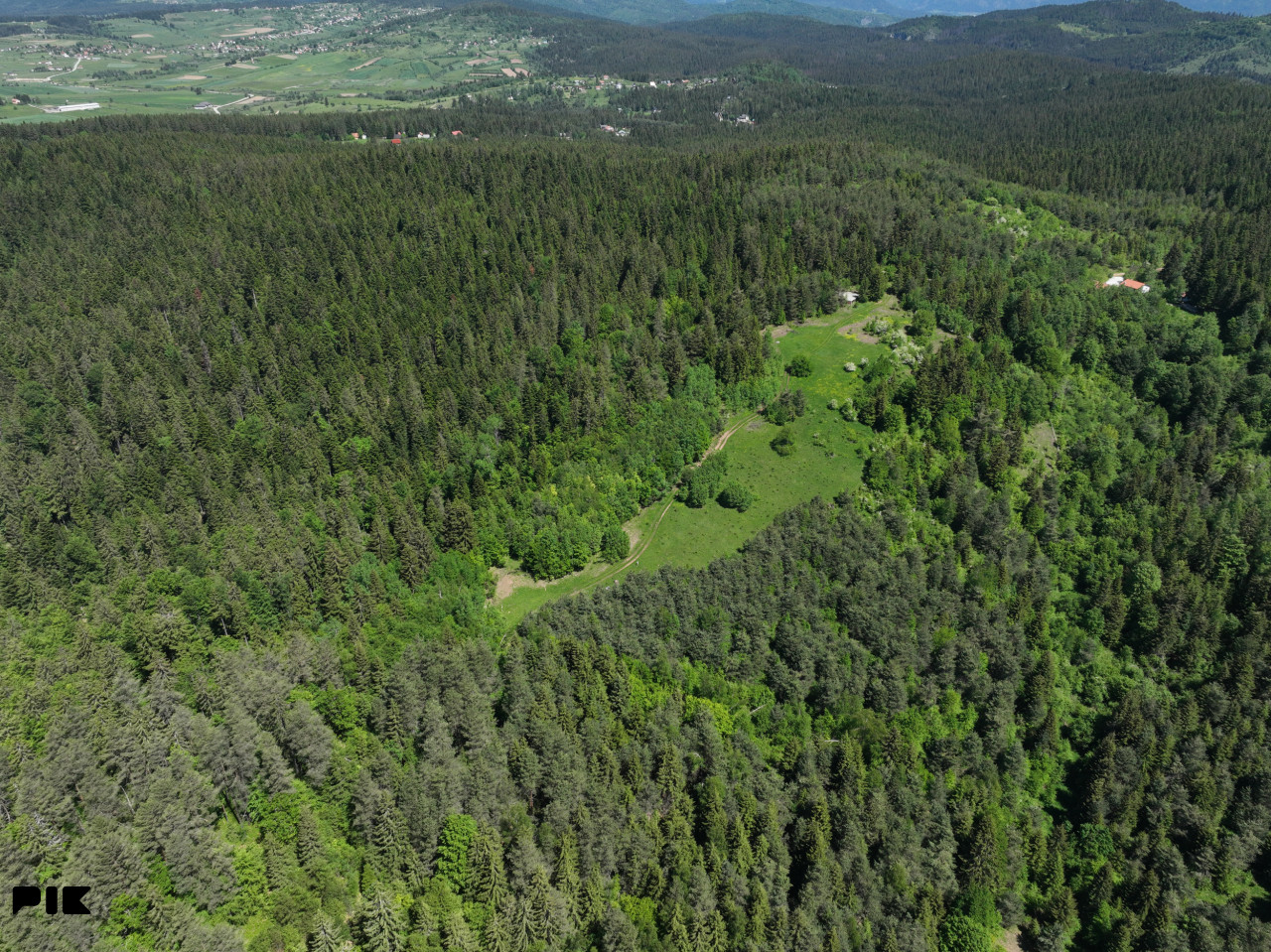 Zemljište / NISICI / 46652 m2 / Imanje / OAZA U SRED SUME / 4