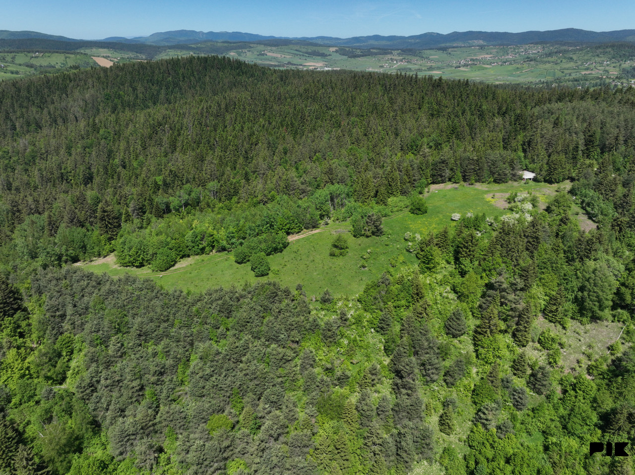 Zemljište / NISICI / 46652 m2 / Imanje / OAZA U SRED SUME / 5