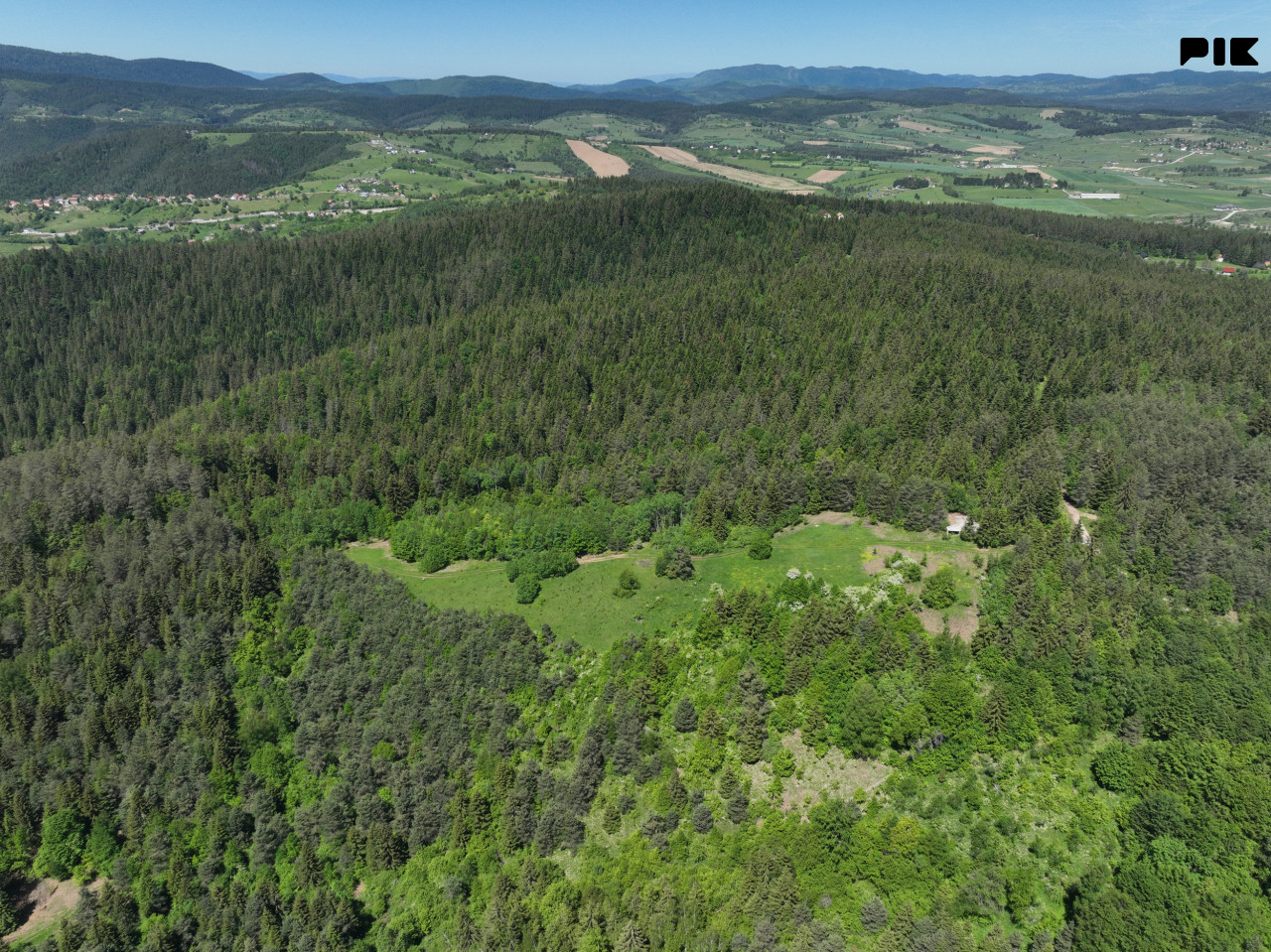 Zemljište / NISICI / 46652 m2 / Imanje / OAZA U SRED SUME / 6