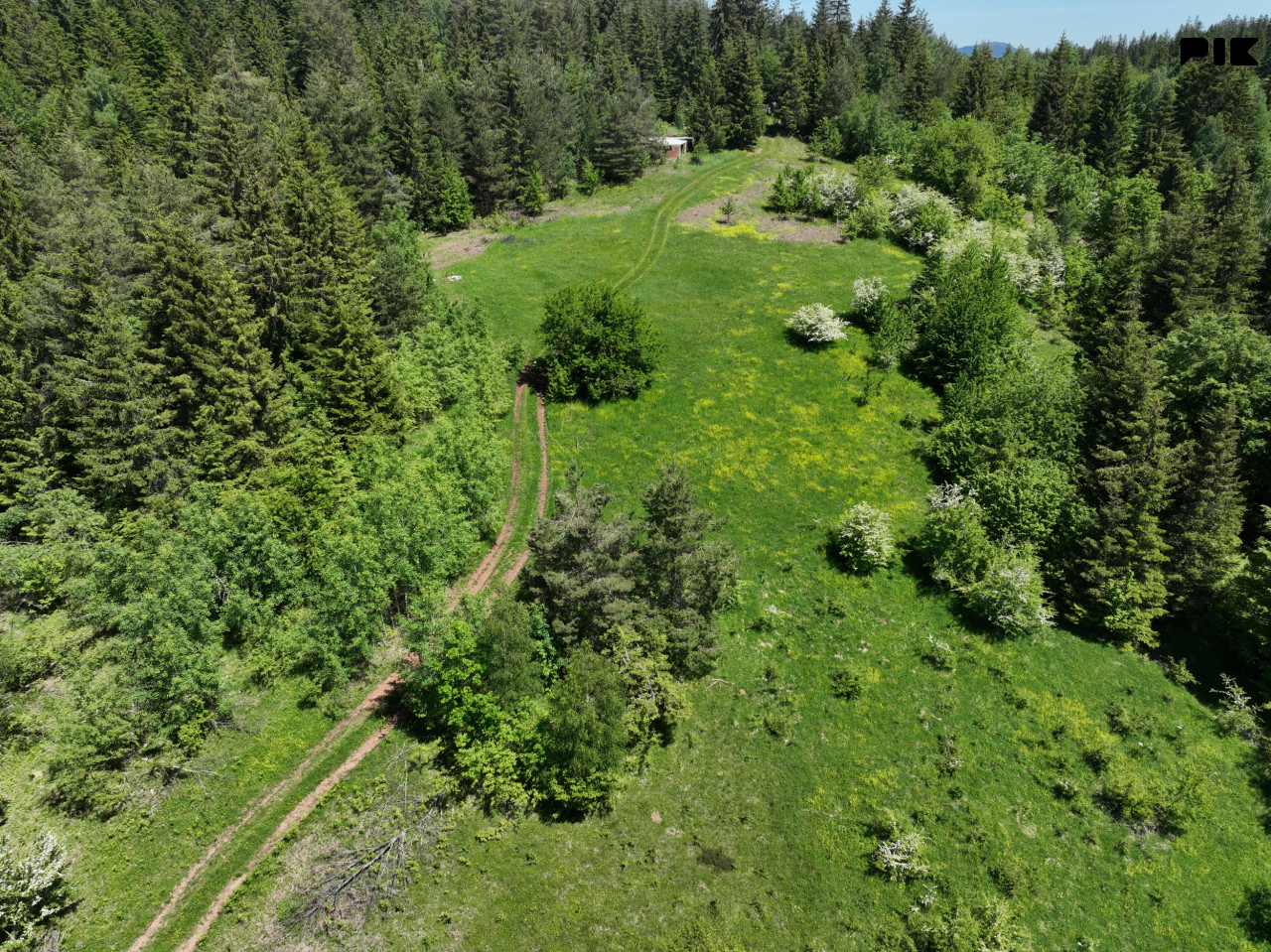 Zemljište / NISICI / 46652 m2 / Imanje / OAZA U SRED SUME / 9