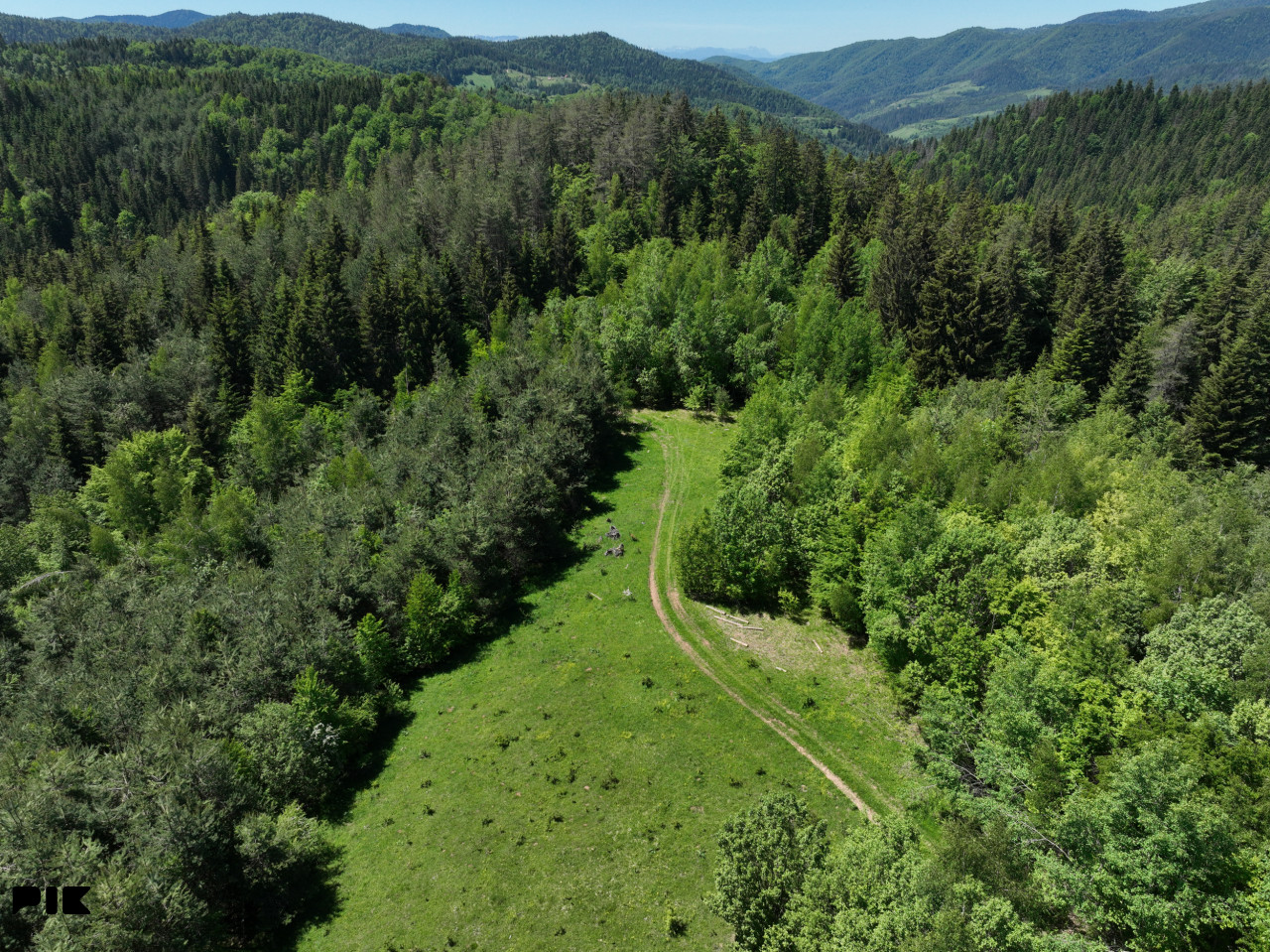 Zemljište / NISICI / 46652 m2 / Imanje / OAZA U SRED SUME / 10