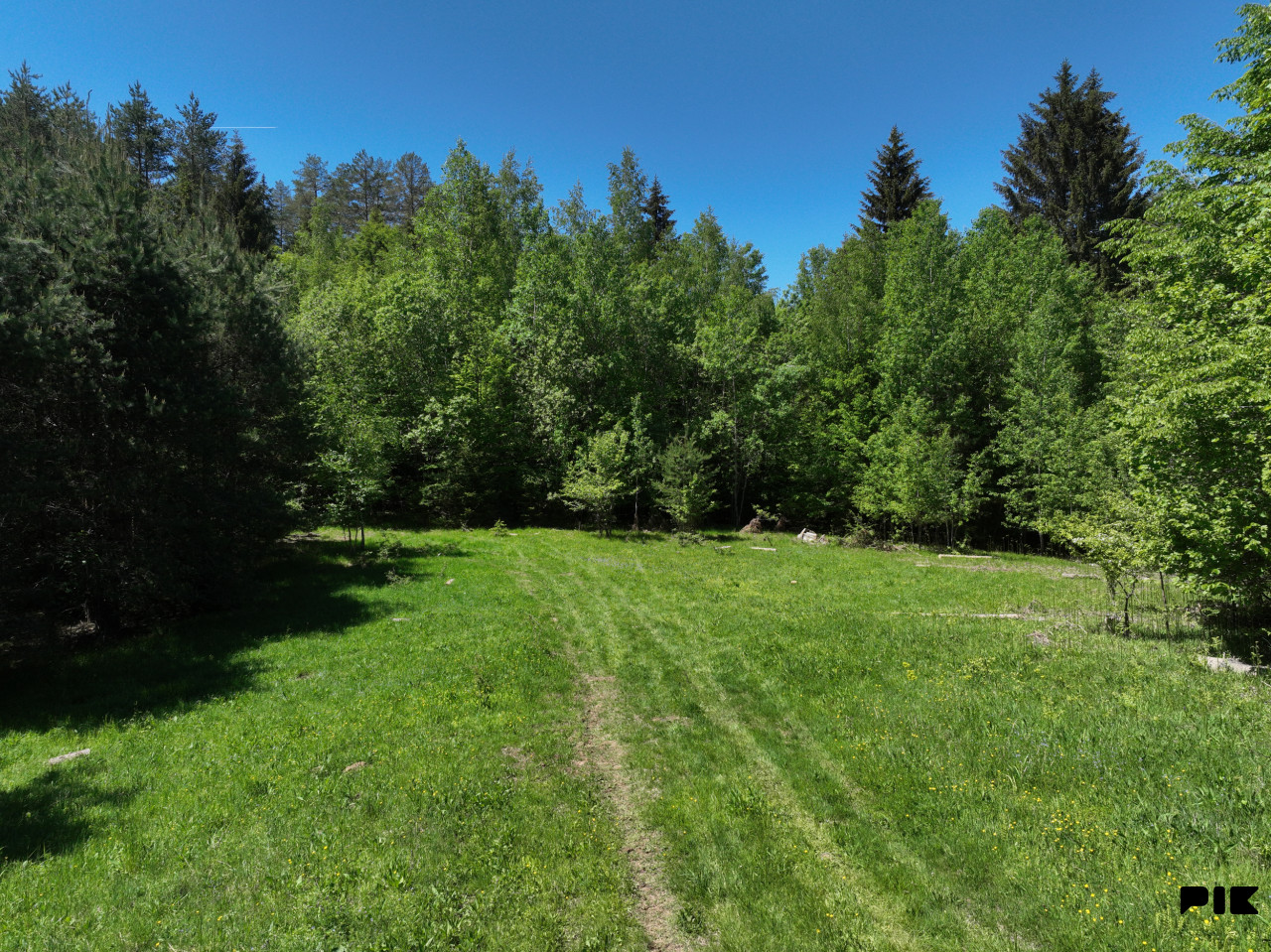 Zemljište / NISICI / 46652 m2 / Imanje / OAZA U SRED SUME / 11