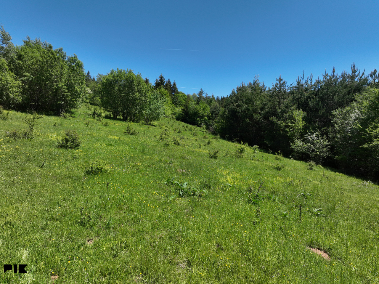 Zemljište / NISICI / 46652 m2 / Imanje / OAZA U SRED SUME / 12
