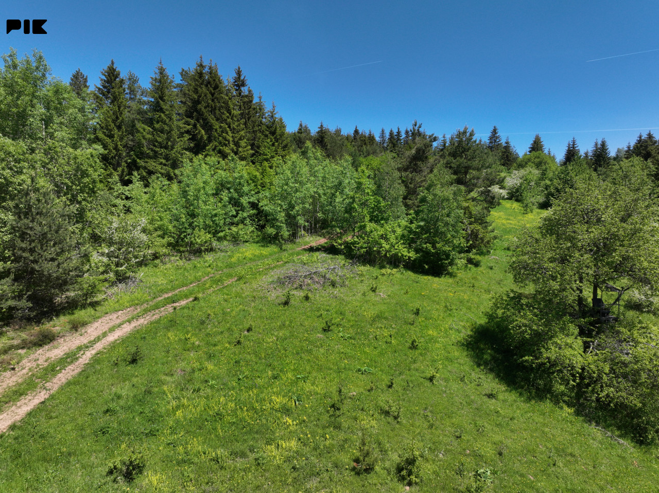 Zemljište / NISICI / 46652 m2 / Imanje / OAZA U SRED SUME / 14