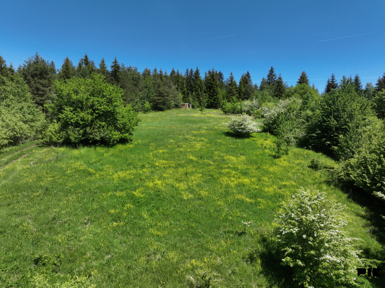 Zemljište / NISICI / 46652 m2 / Imanje / OAZA U SRED SUME /
