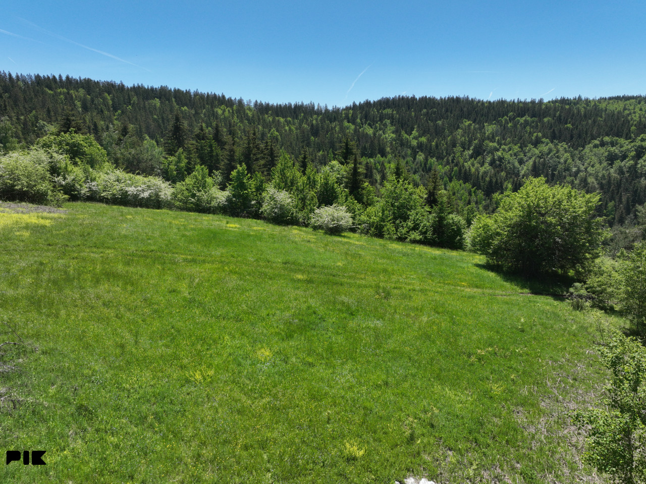 Zemljište / NISICI / 46652 m2 / Imanje / OAZA U SRED SUME / 15