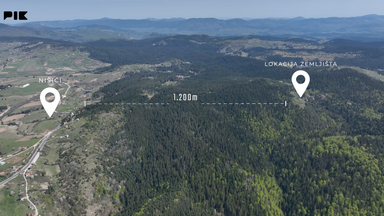 Zemljište / NISICI / 46652 m2 / Imanje / OAZA U SRED SUME / 16