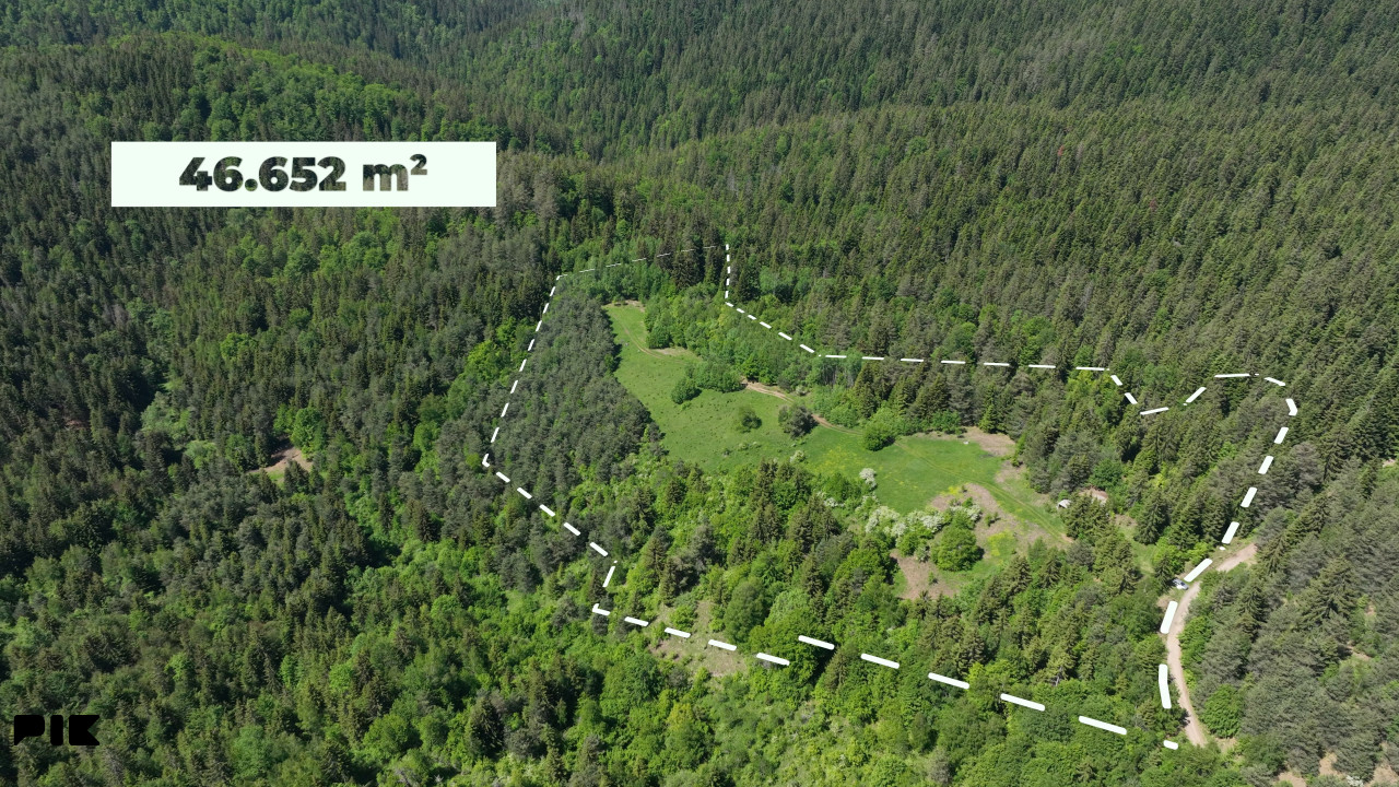 Zemljište / NISICI / 46652 m2 / Imanje / OAZA U SRED SUME / 17