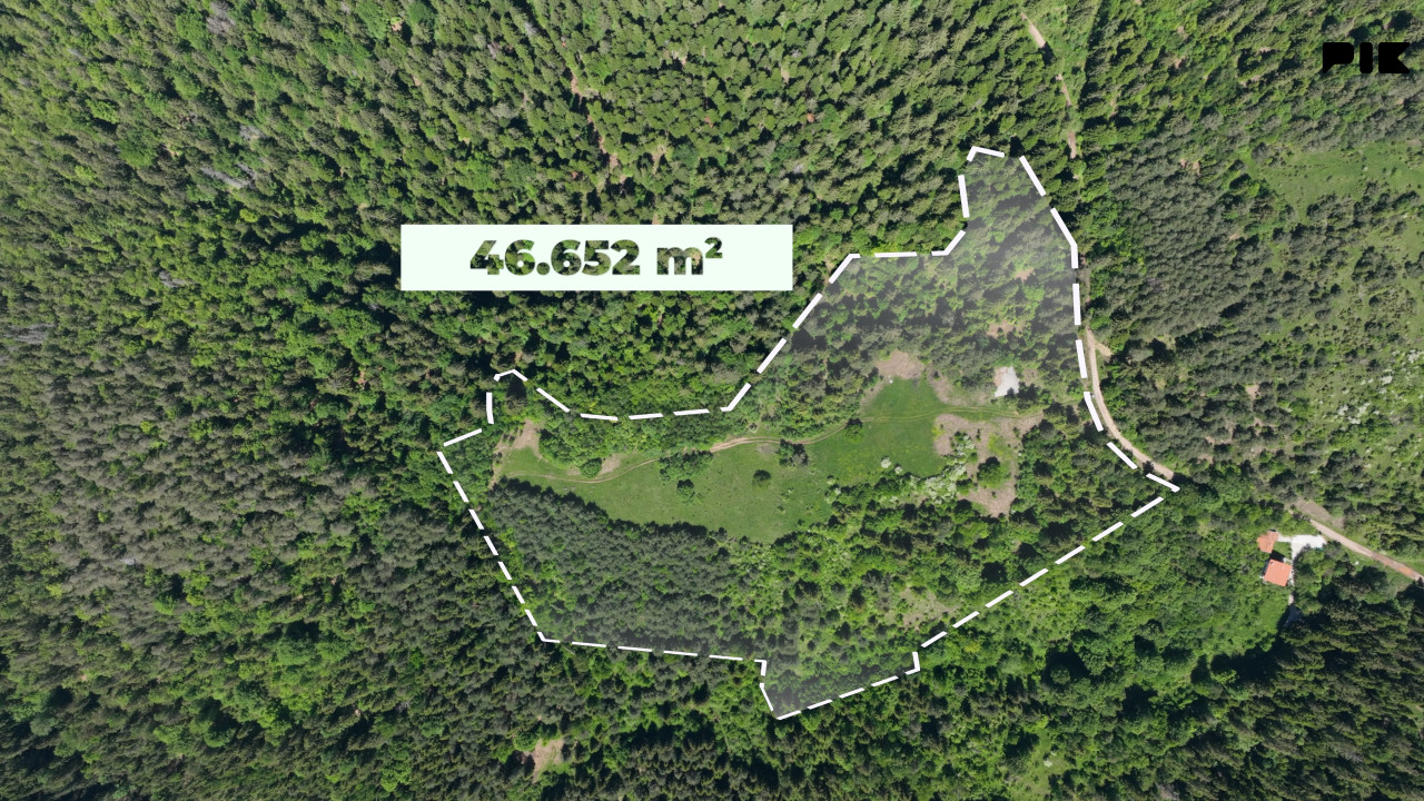 Zemljište / NISICI / 46652 m2 / Imanje / OAZA U SRED SUME / 18