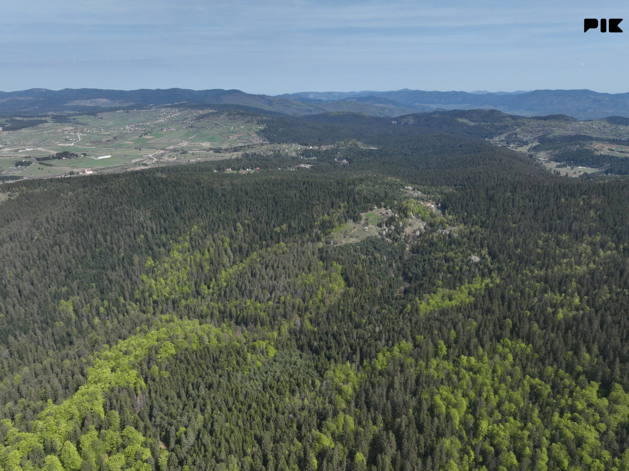 Zemljište / NISICI / 46652 m2 / Imanje / OAZA U SRED SUME / 19